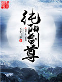 纯阳剑实战效果
