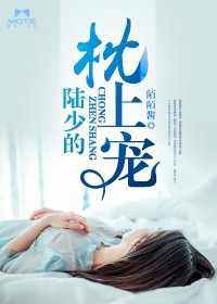 陆少的秘密恋人小说